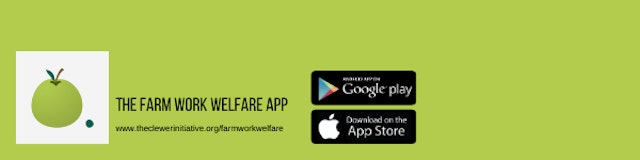 FWWA email signature bright green