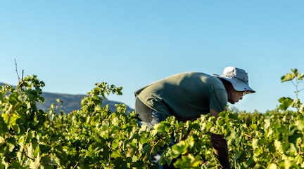 Farm worker masthead