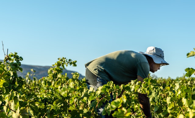 Farm worker masthead