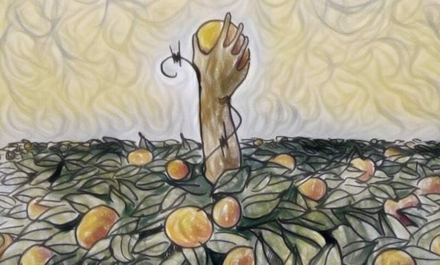 Progetto senza titolo 28 800x700