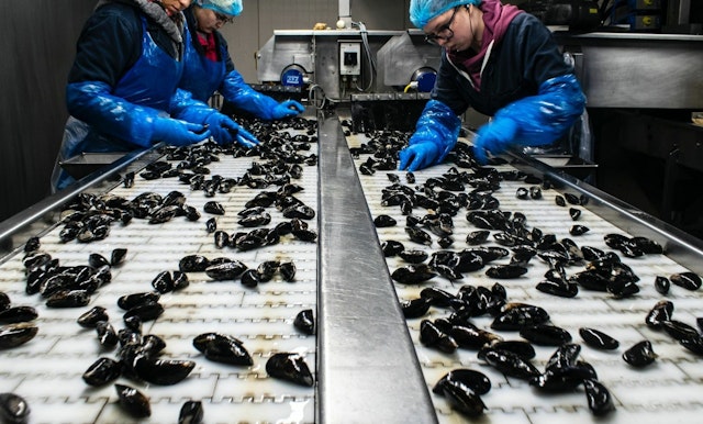 Forced labour image 2