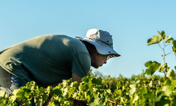 Farm worker masthead